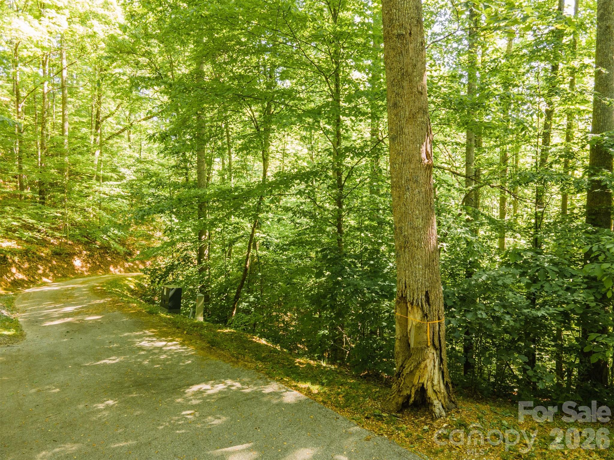 52 Morningside Drive Tuckasegee NC 28783