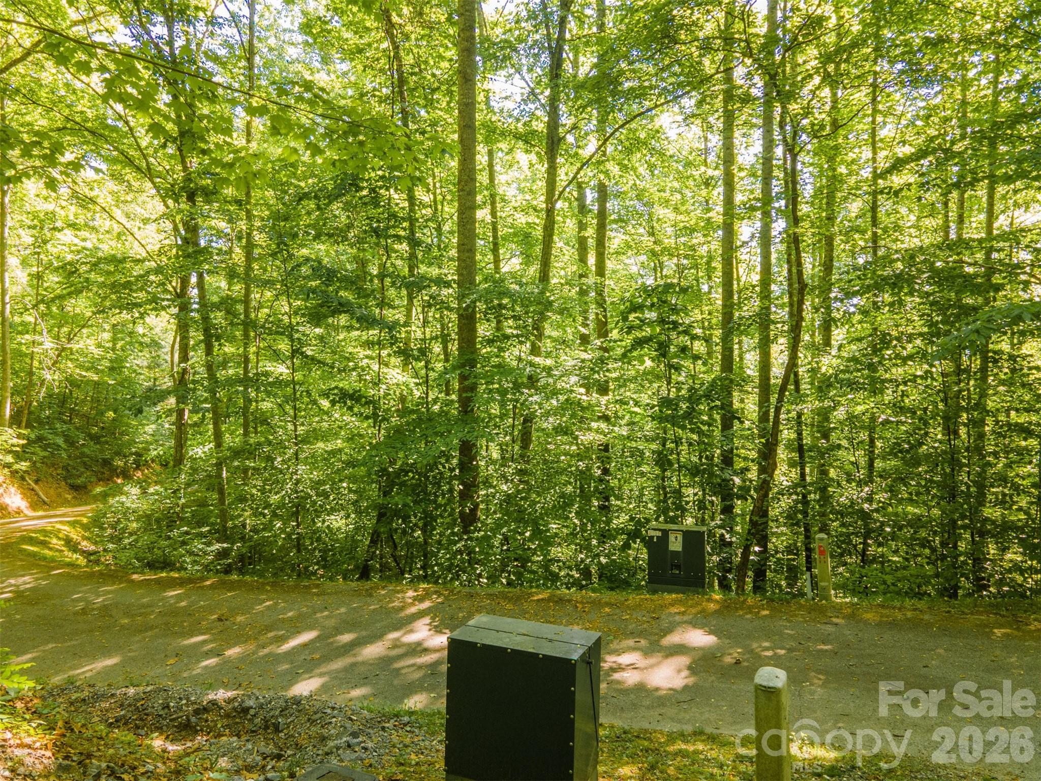 52 Morningside Drive Tuckasegee NC 28783