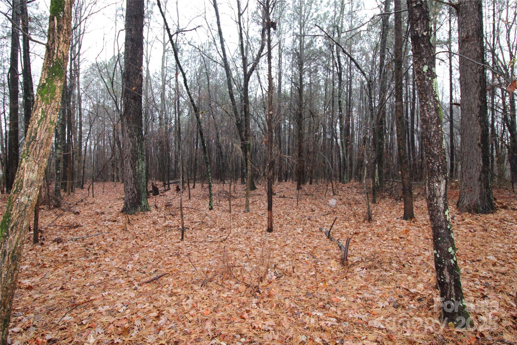 4.78+/-AC Neal Road Bessemer City NC 28016