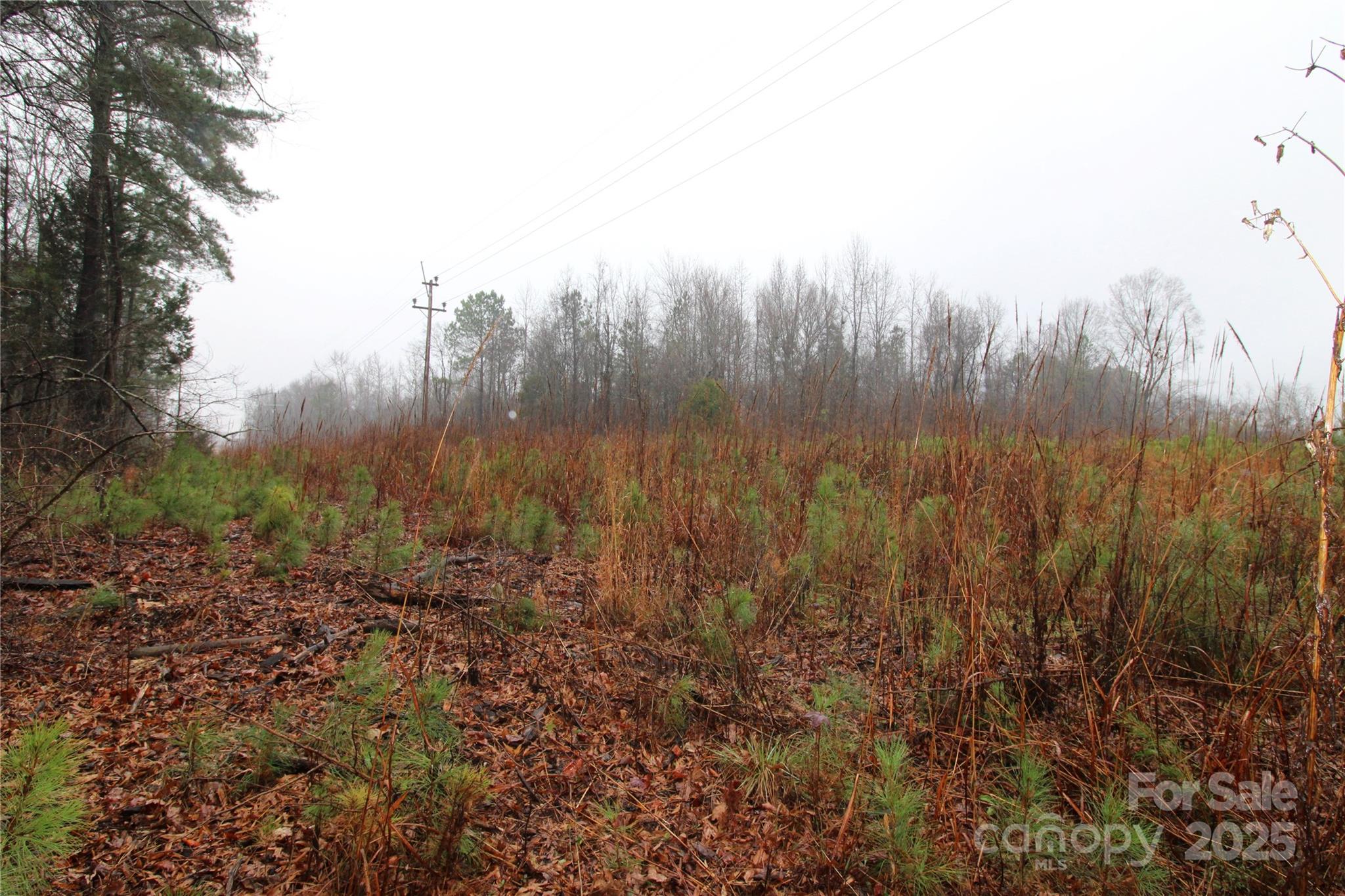 4.78+/-AC Neal Road Bessemer City NC 28016