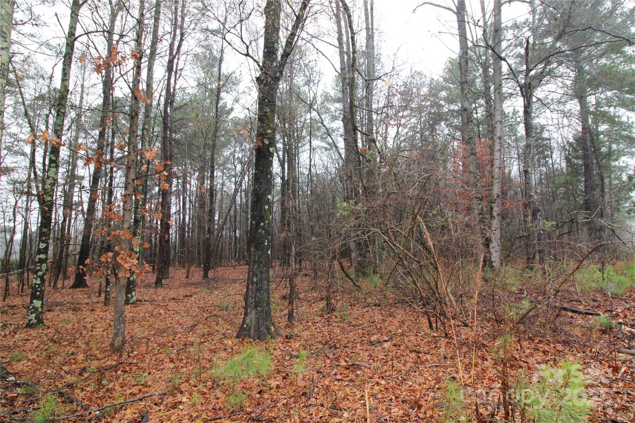 4.78+/-AC Neal Road Bessemer City NC 28016