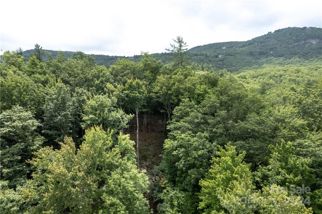 M 38 Cardinal Drive W Lake Toxaway NC 28747