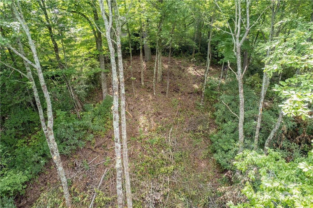 M 38 Cardinal Drive W Lake Toxaway NC 28747