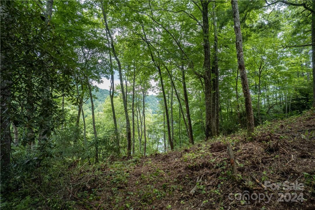 M 38 Cardinal Drive W Lake Toxaway NC 28747