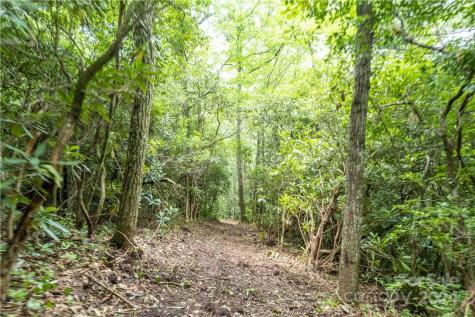 M 38 Cardinal Drive W Lake Toxaway NC 28747