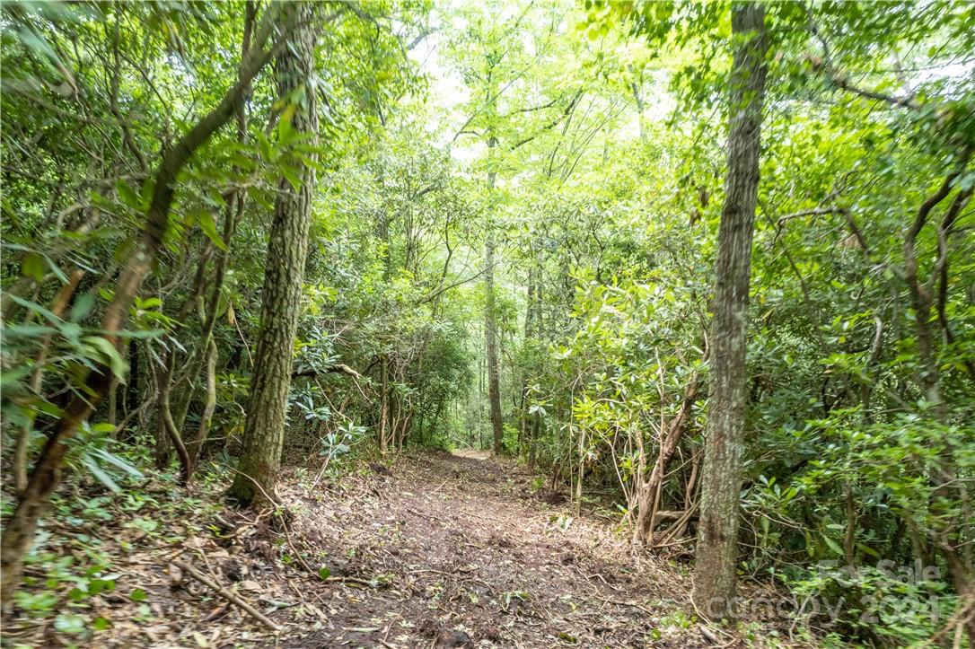 M 38 Cardinal Drive W Lake Toxaway NC 28747