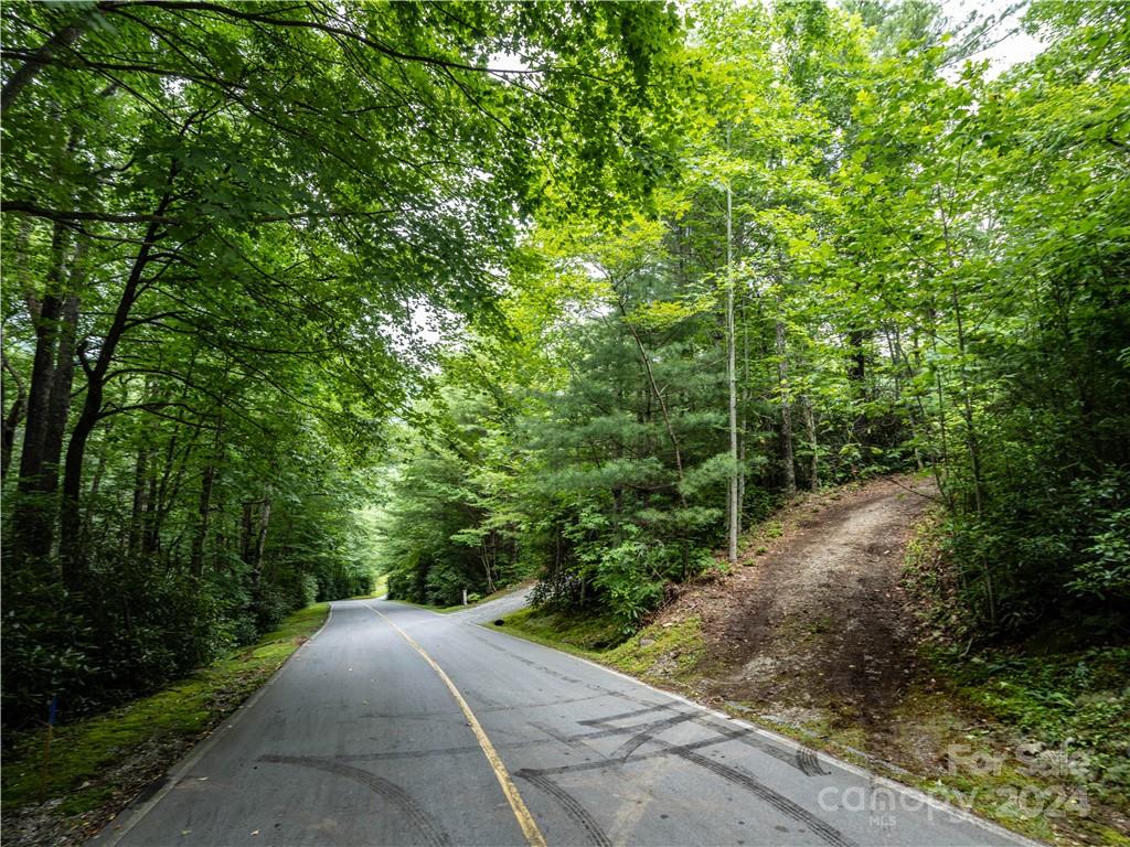 M 38 Cardinal Drive W Lake Toxaway NC 28747