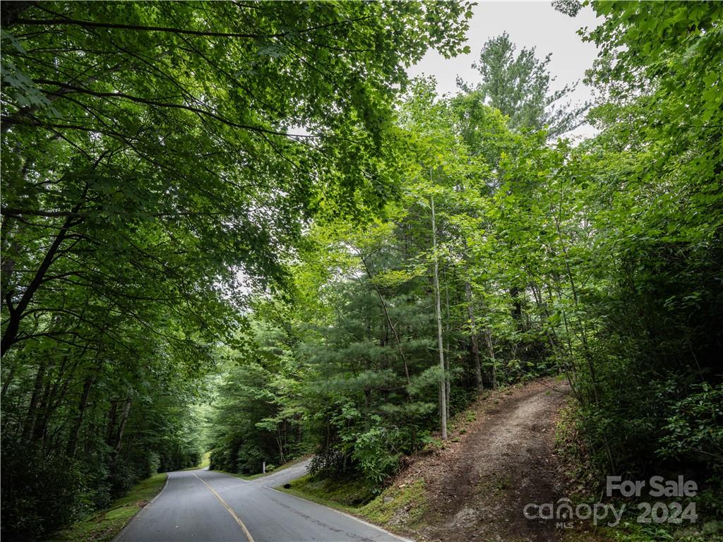 M 38 Cardinal Drive W Lake Toxaway NC 28747