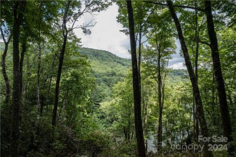 M 38 Cardinal Drive W Lake Toxaway NC 28747