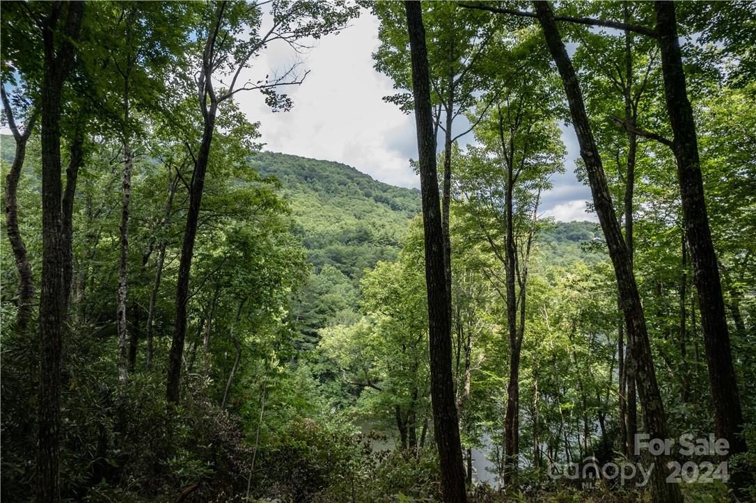 M 38 Cardinal Drive W Lake Toxaway NC 28747
