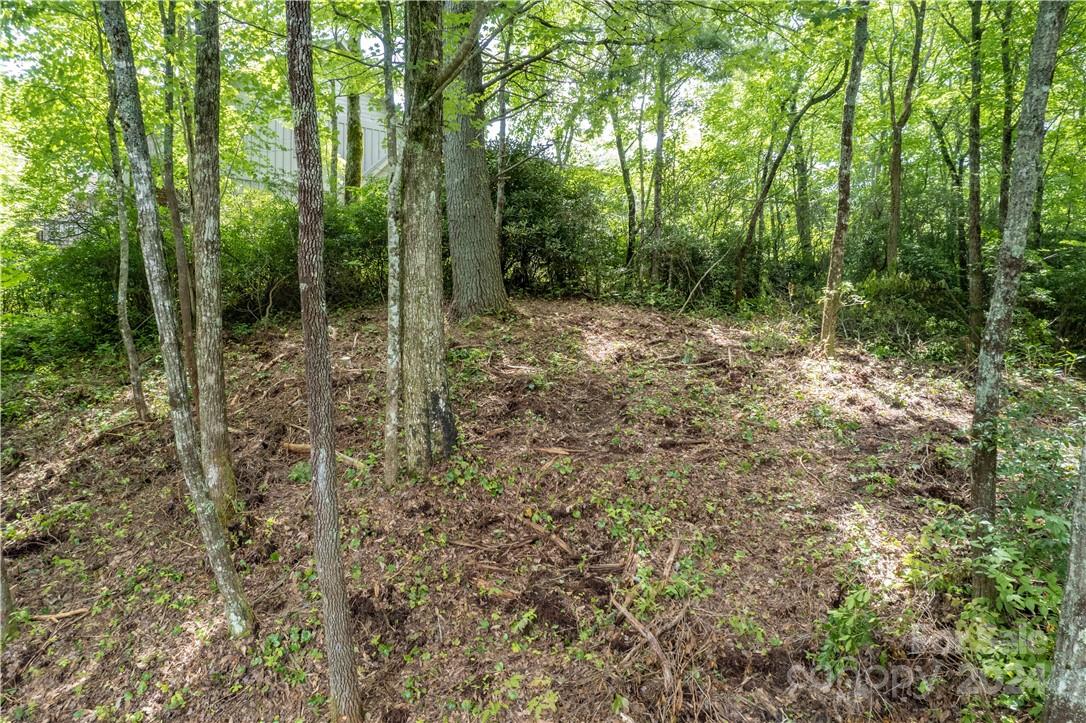 M 38 Cardinal Drive W Lake Toxaway NC 28747