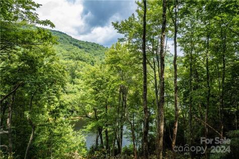 M 38 Cardinal Drive W Lake Toxaway NC 28747