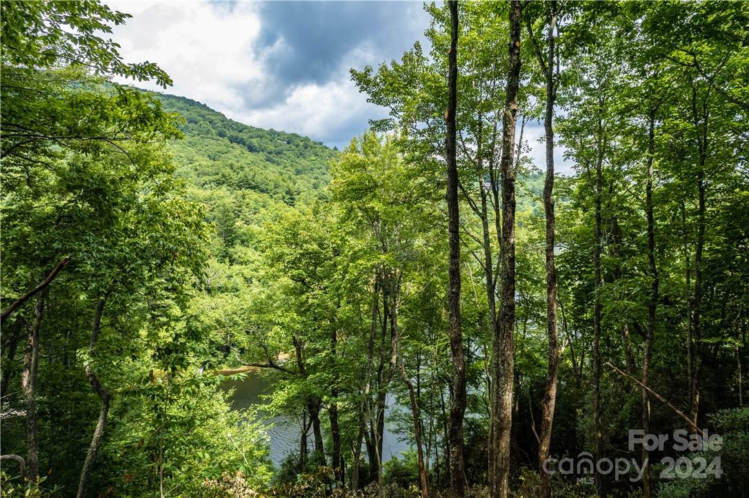 M 38 Cardinal Drive W Lake Toxaway NC 28747