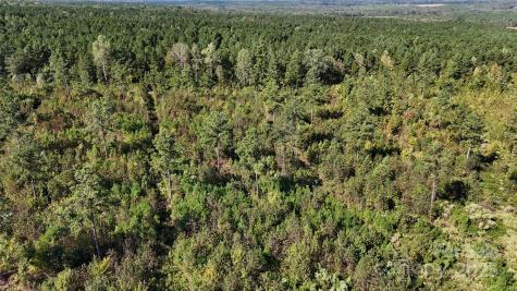 Lot 1 Farris Cato Road Pageland SC 29728