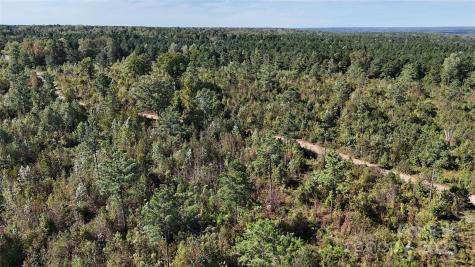 Lot 1 Farris Cato Road Pageland SC 29728