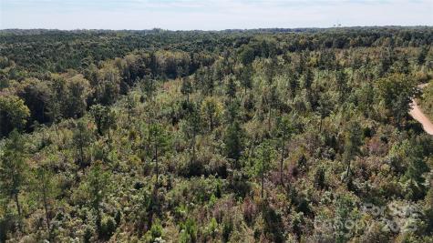 Lot 1 Farris Cato Road Pageland SC 29728