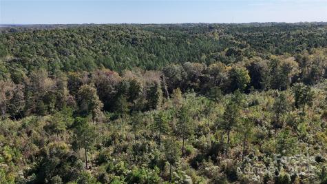 Lot 1 Farris Cato Road Pageland SC 29728