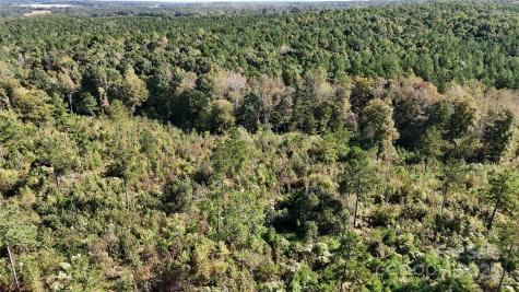 Lot 1 Farris Cato Road Pageland SC 29728