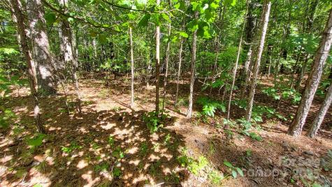 0000 Loblolly Lane Mill Spring NC 28756