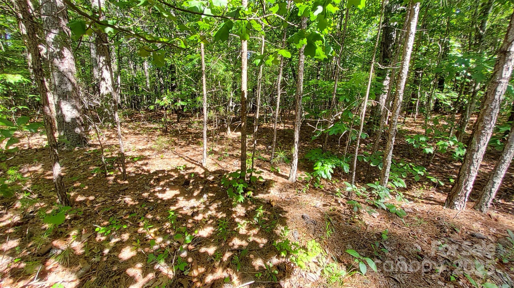 0000 Loblolly Lane Mill Spring NC 28756