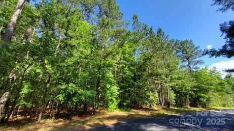 0000 Loblolly Lane Mill Spring NC 28756