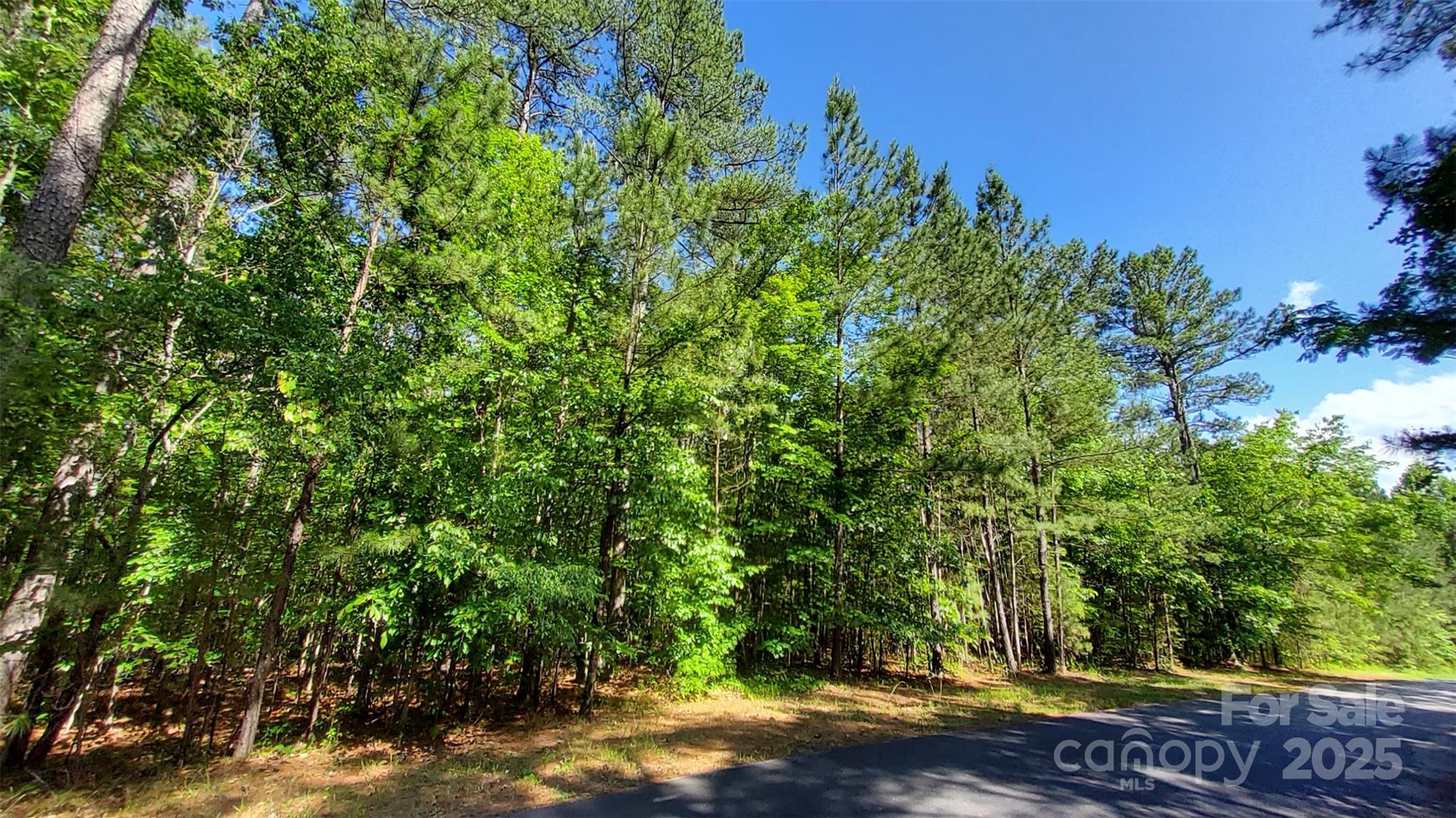 0000 Loblolly Lane Mill Spring NC 28756