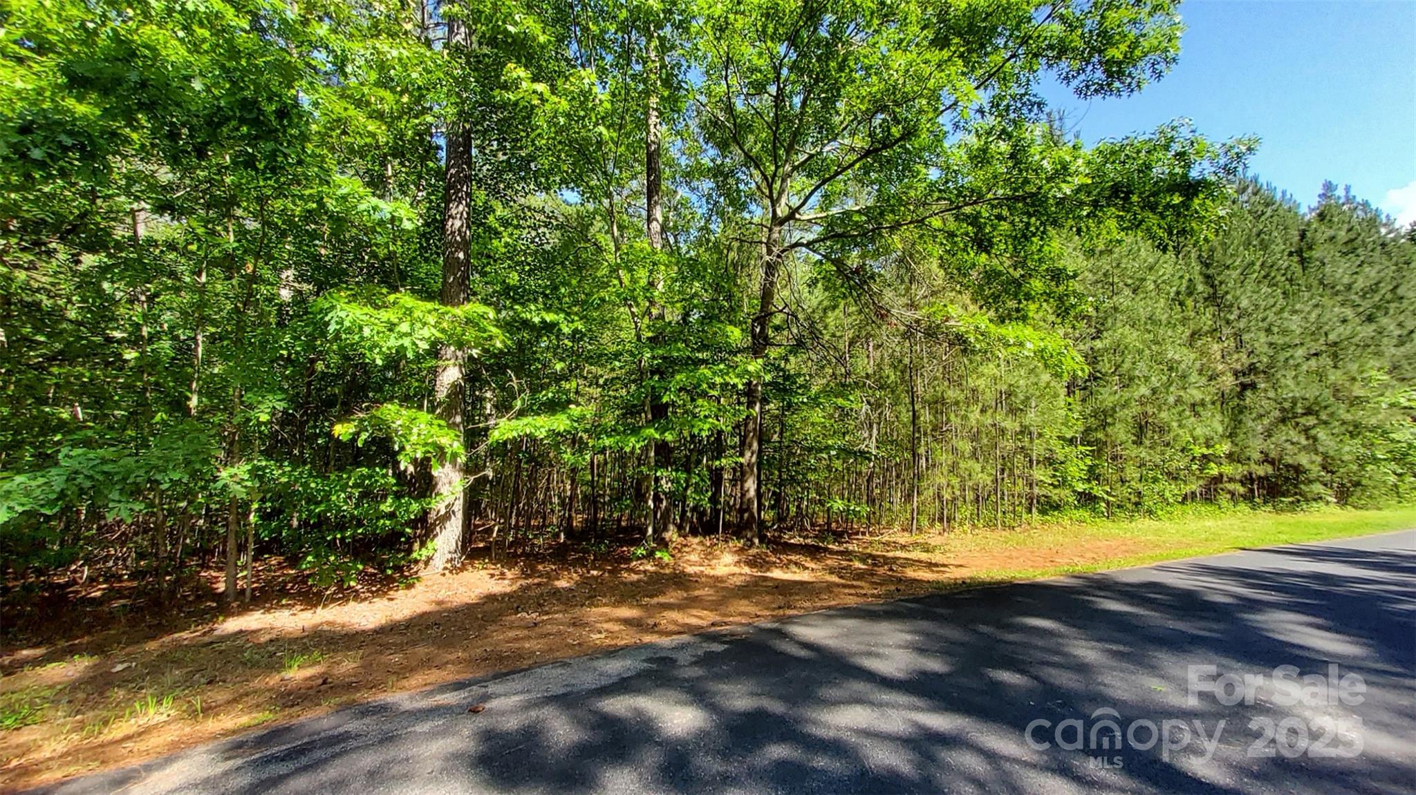 0000 Loblolly Lane Mill Spring NC 28756