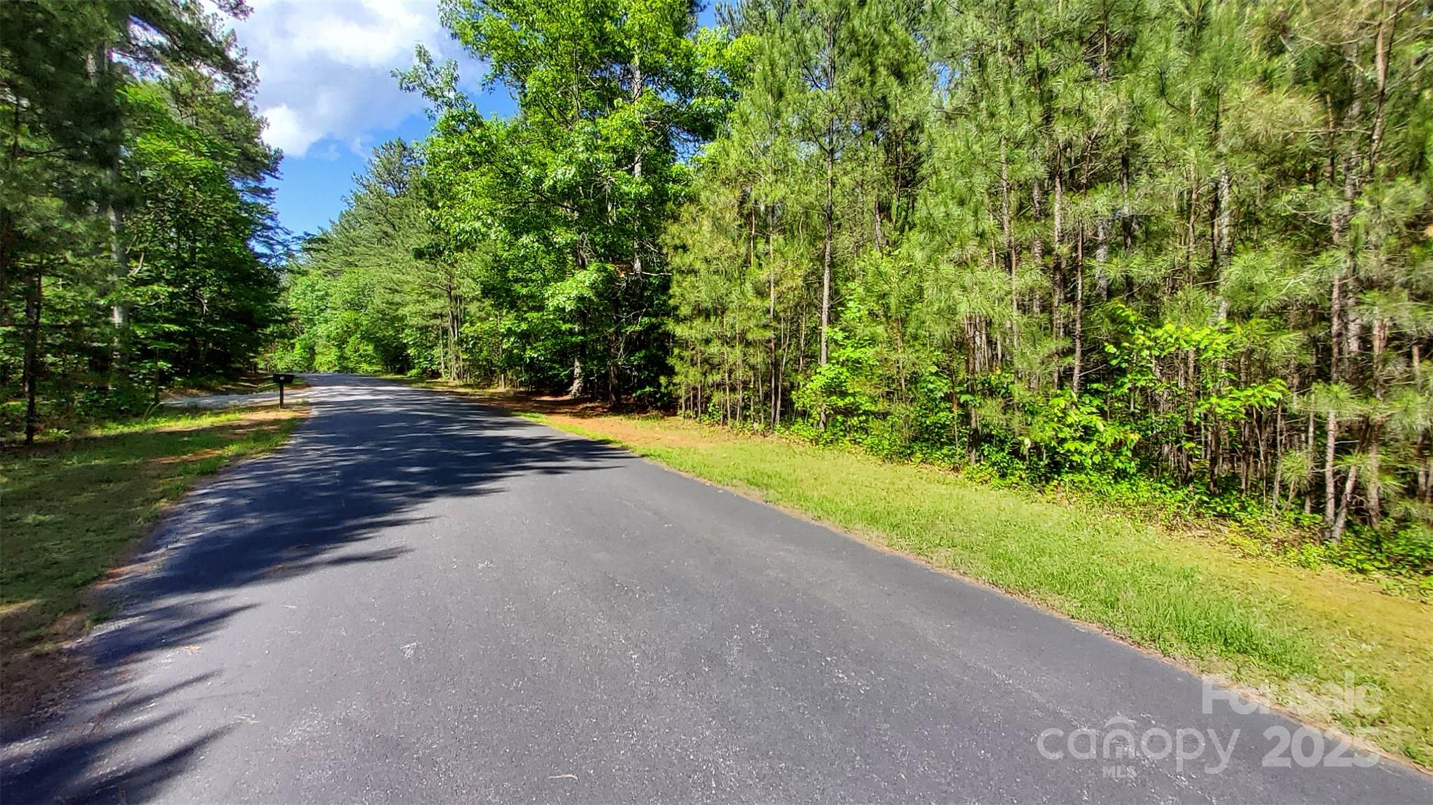0000 Loblolly Lane Mill Spring NC 28756