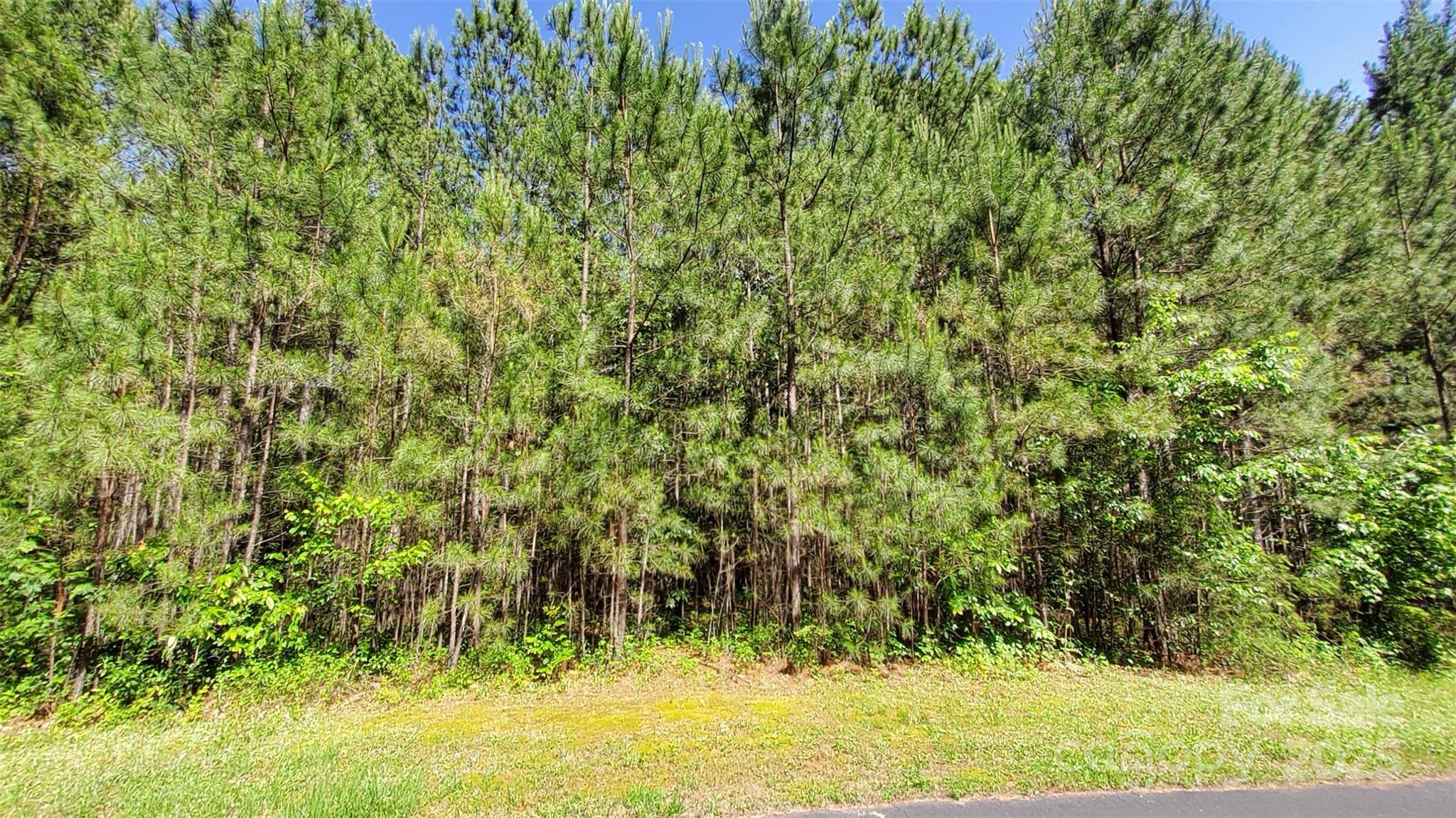 0000 Loblolly Lane Mill Spring NC 28756