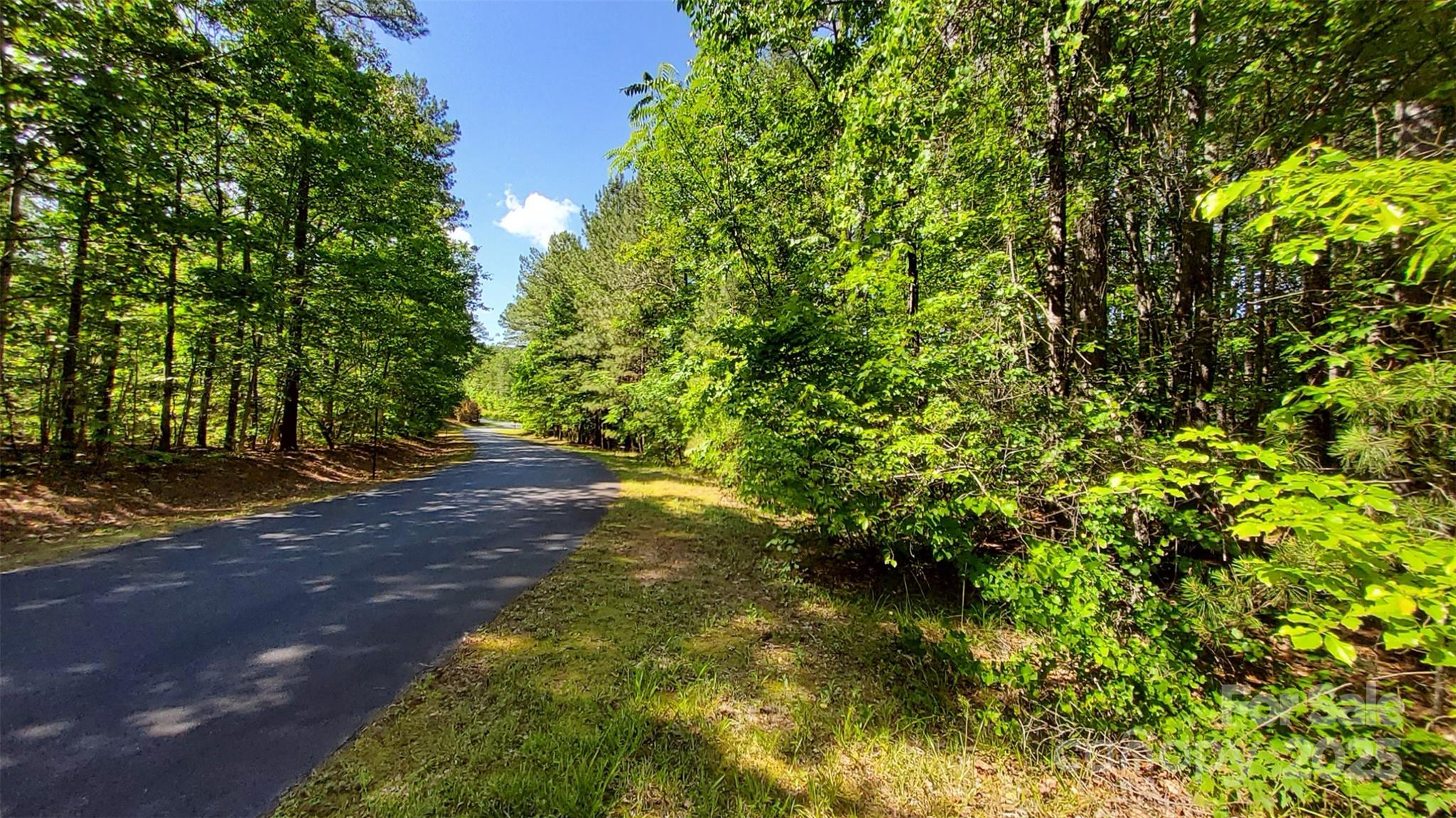 0000 Loblolly Lane Mill Spring NC 28756
