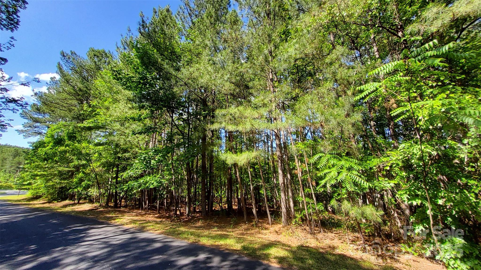 0000 Loblolly Lane Mill Spring NC 28756