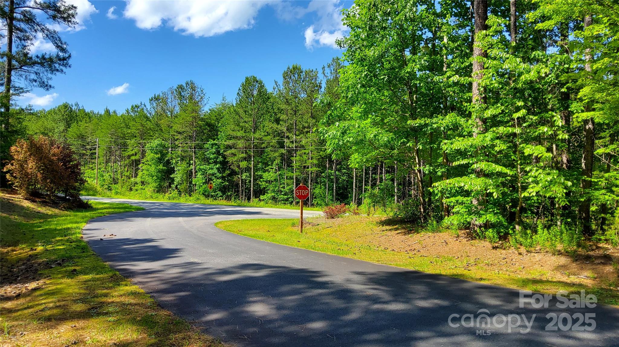 0000 Loblolly Lane Mill Spring NC 28756