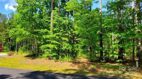 0000 Loblolly Lane Mill Spring NC 28756