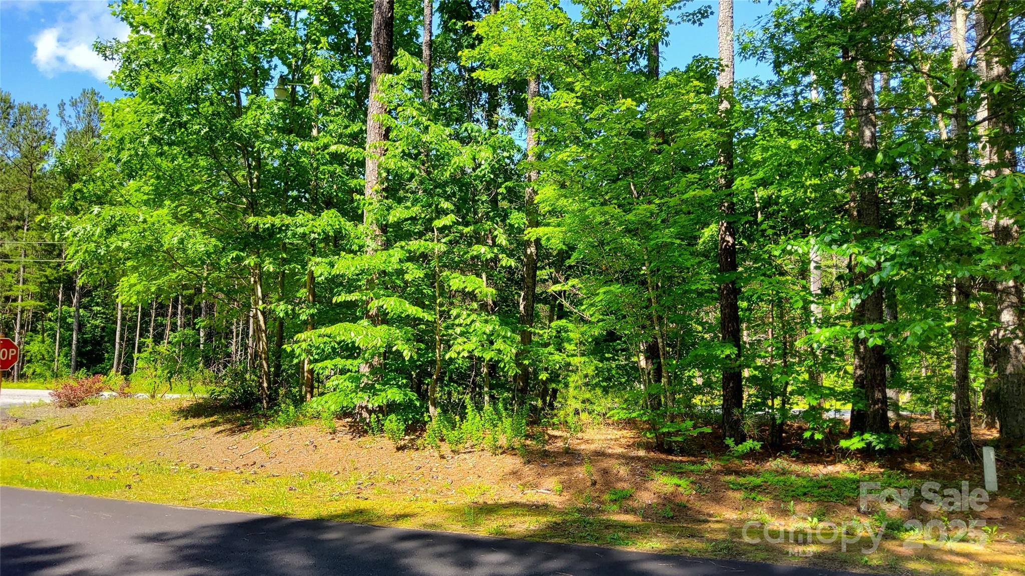 0000 Loblolly Lane Mill Spring NC 28756