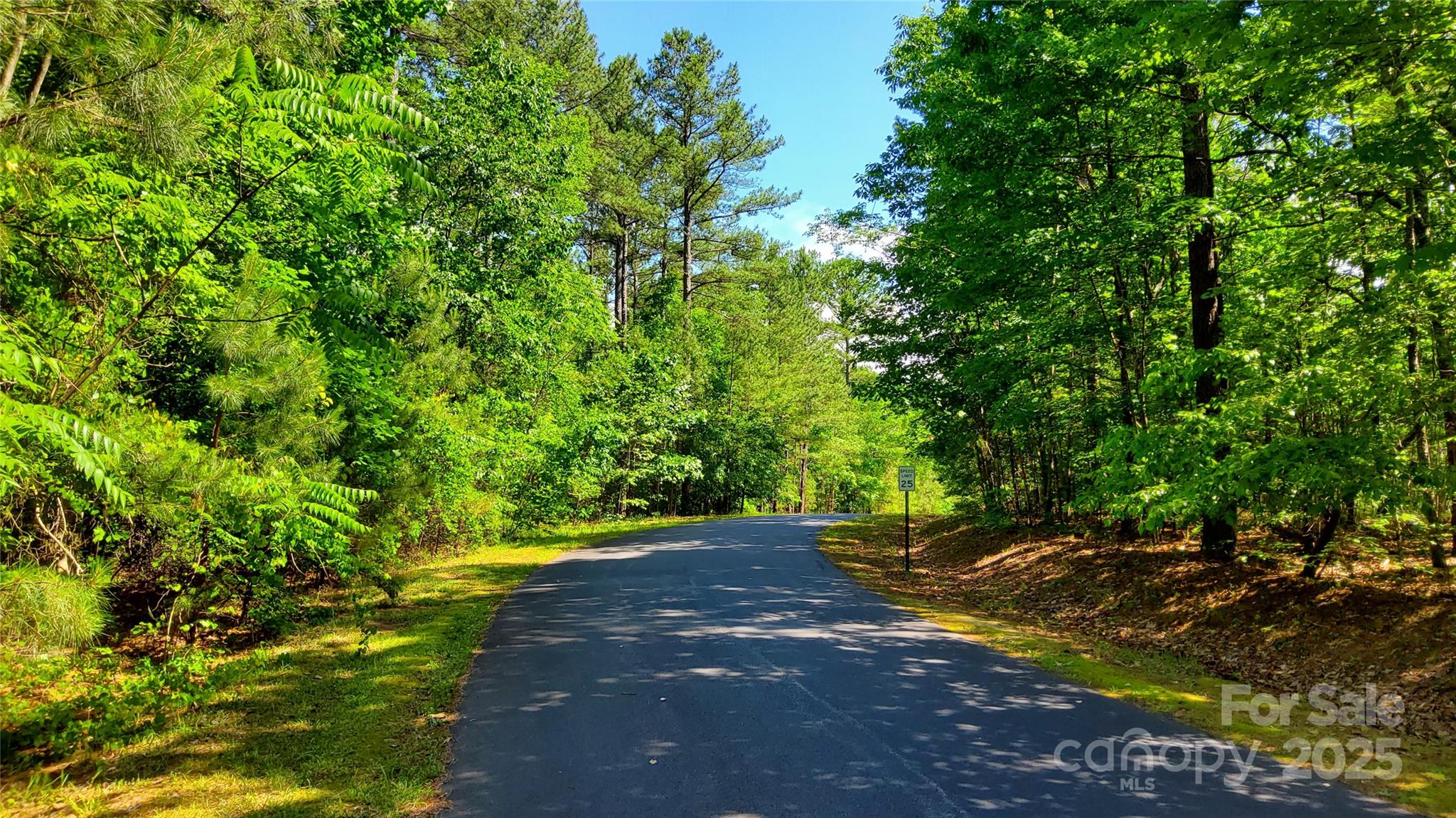 0000 Loblolly Lane Mill Spring NC 28756