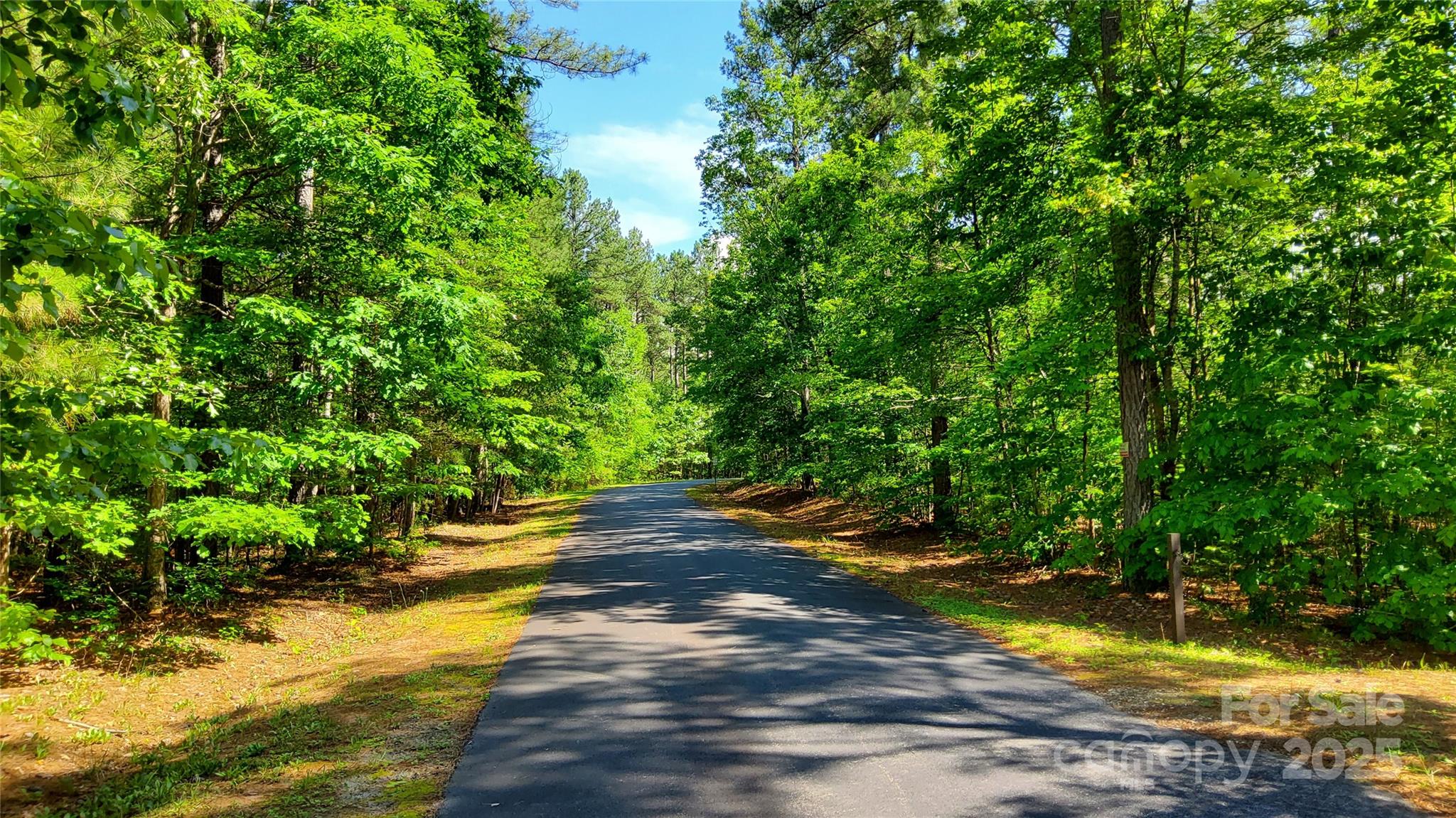 0000 Loblolly Lane Mill Spring NC 28756