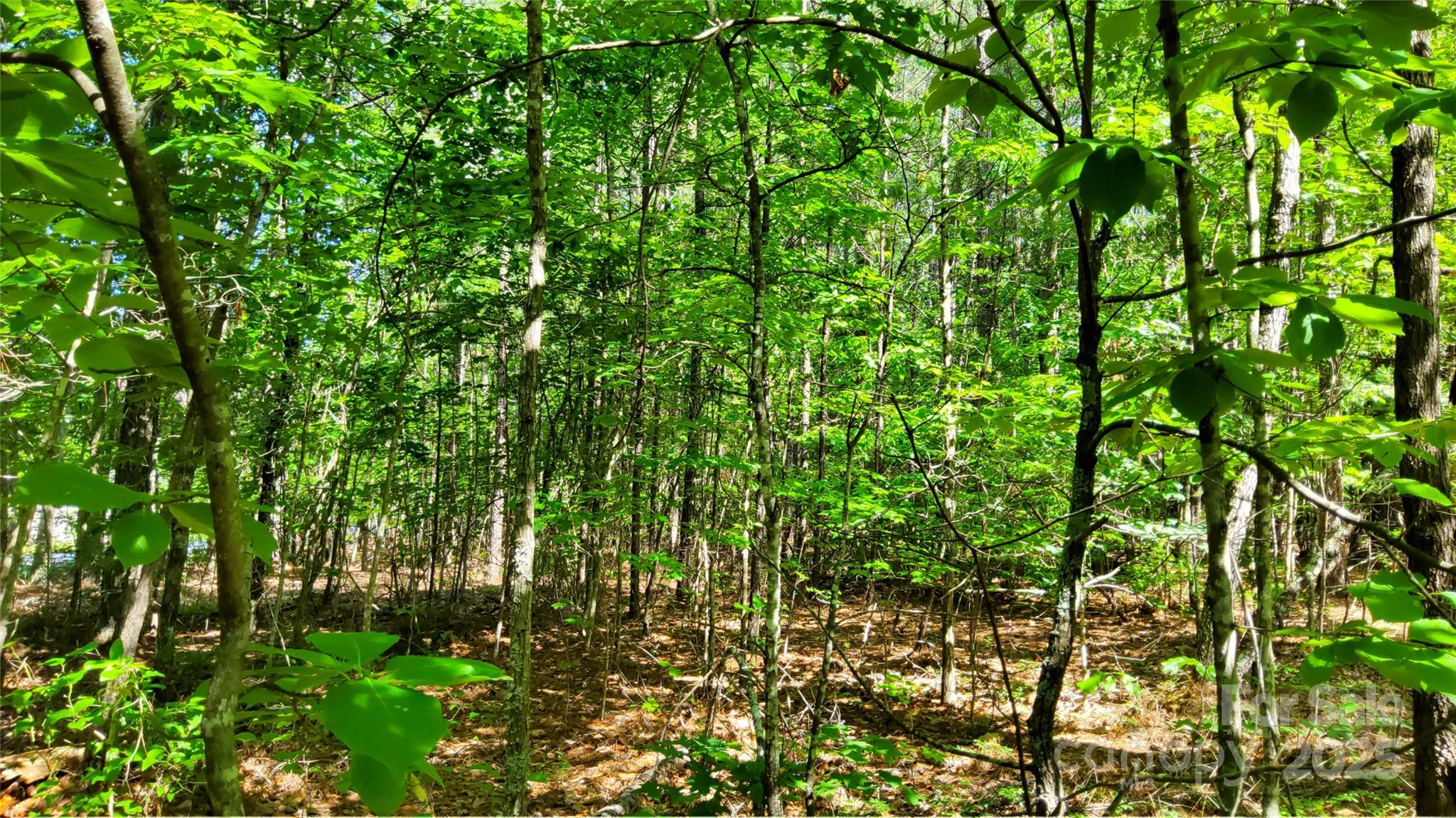 0000 Loblolly Lane Mill Spring NC 28756