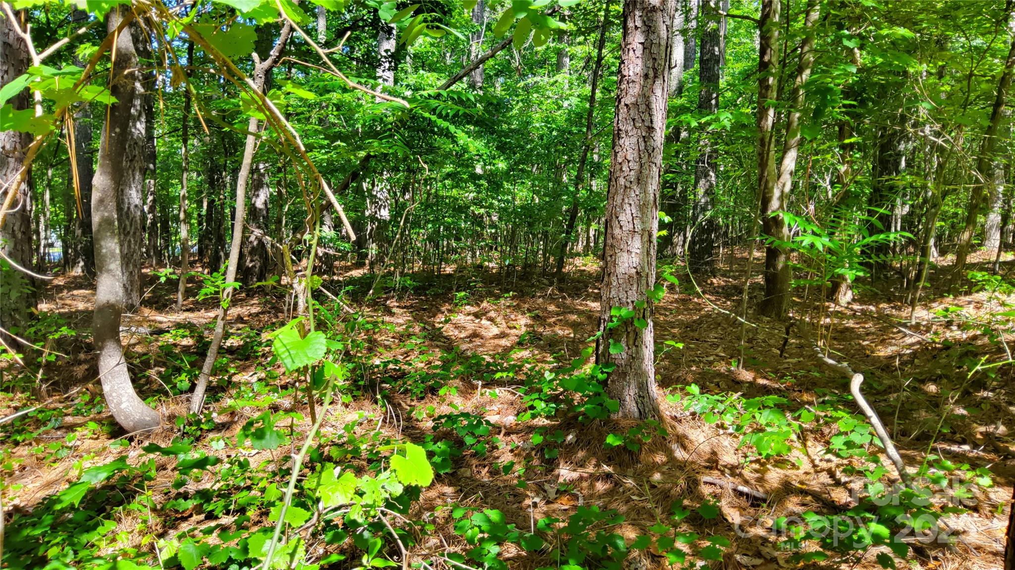 0000 Loblolly Lane Mill Spring NC 28756