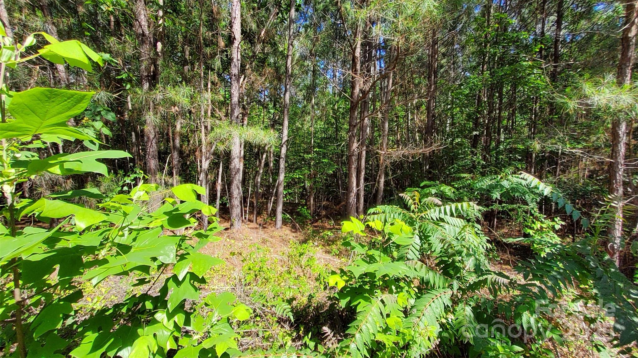 0000 Loblolly Lane Mill Spring NC 28756