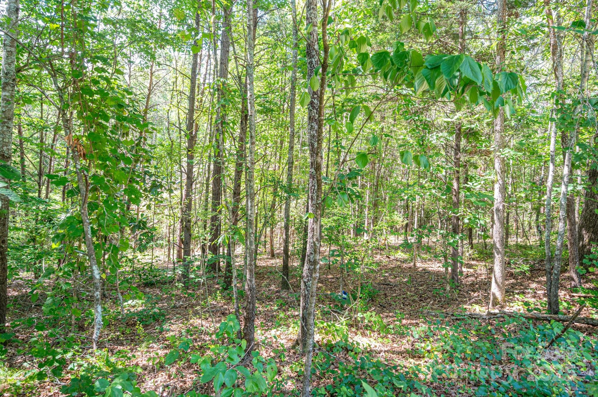 Lot # 16 Meadow Crossing Drive Rutherfordton NC 28139