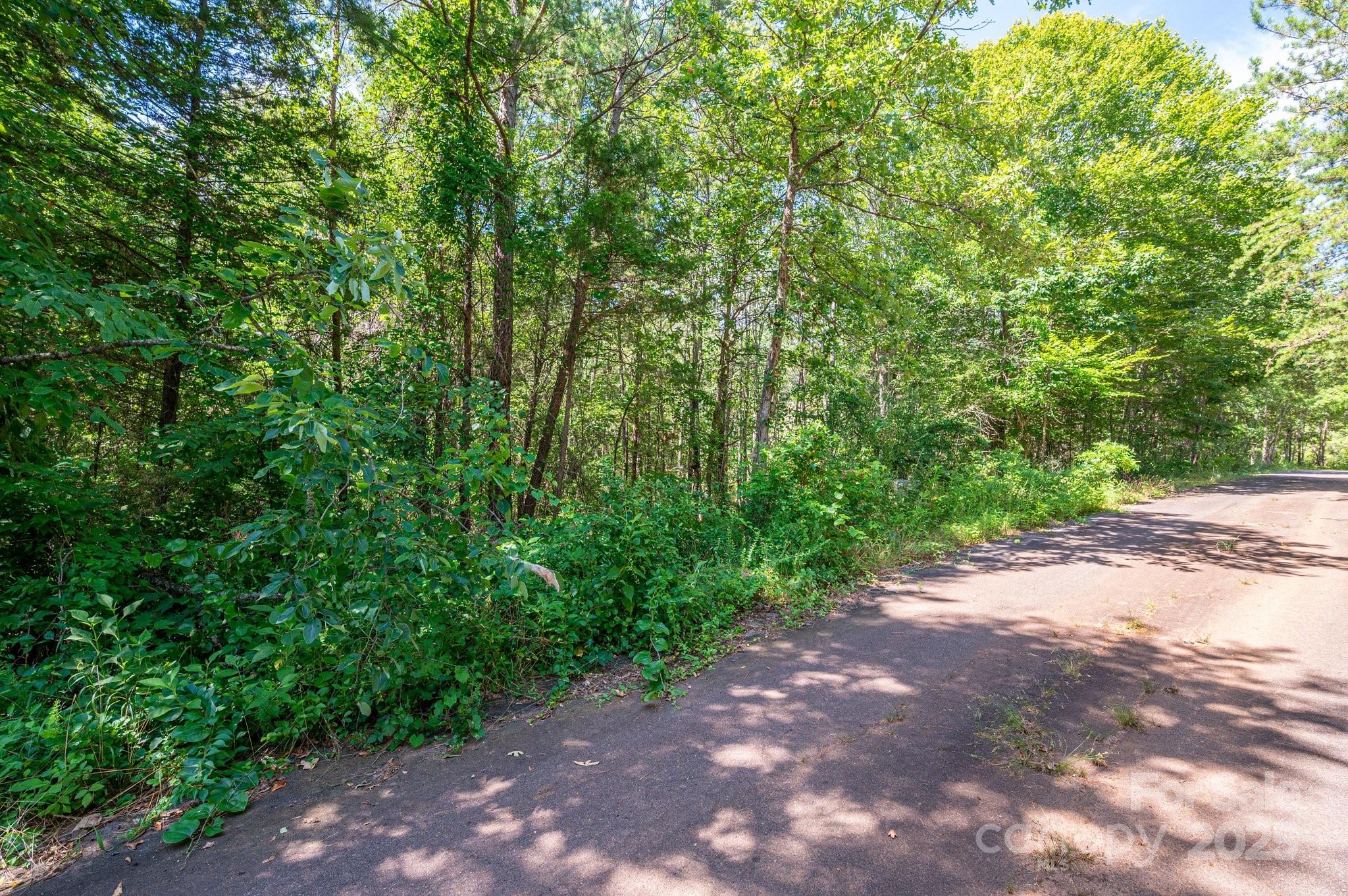 Lot # 16 Meadow Crossing Drive Rutherfordton NC 28139
