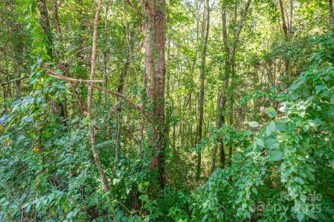 Lot # 16 Meadow Crossing Drive Rutherfordton NC 28139