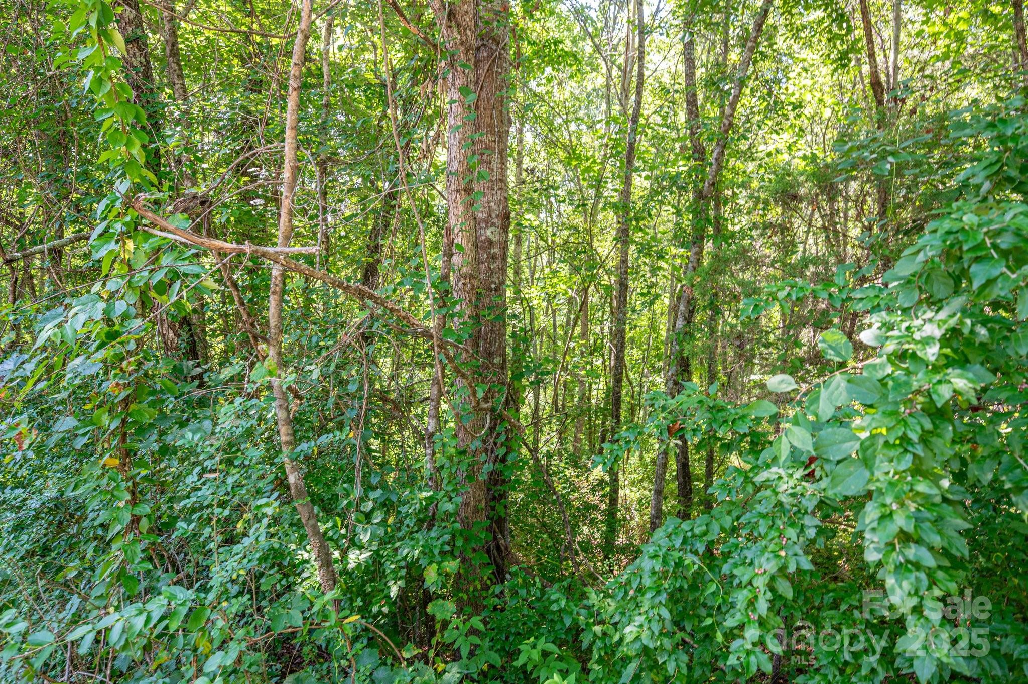 Lot # 16 Meadow Crossing Drive Rutherfordton NC 28139
