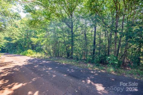 Lot # 16 Meadow Crossing Drive Rutherfordton NC 28139