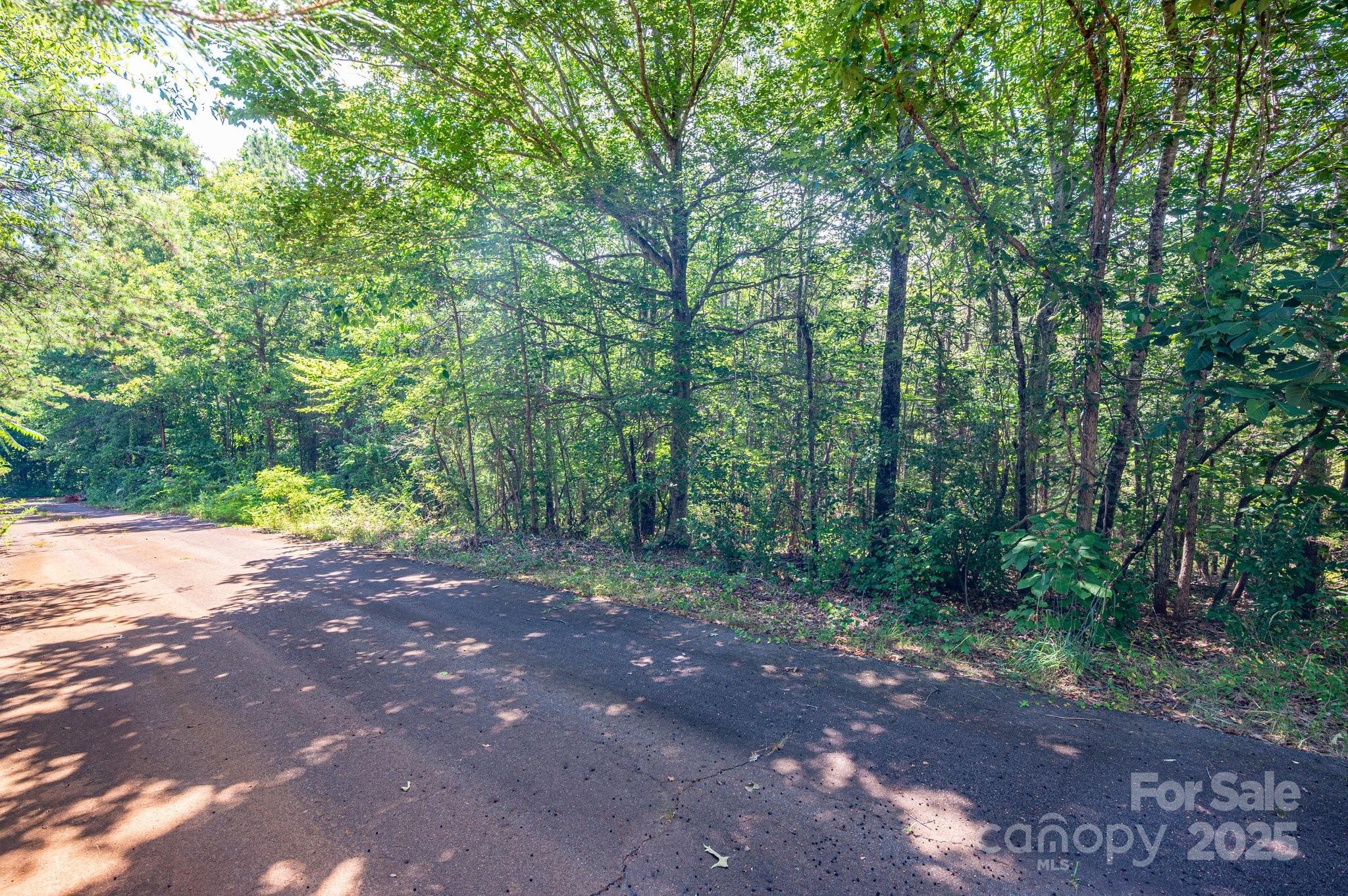 Lot # 16 Meadow Crossing Drive Rutherfordton NC 28139