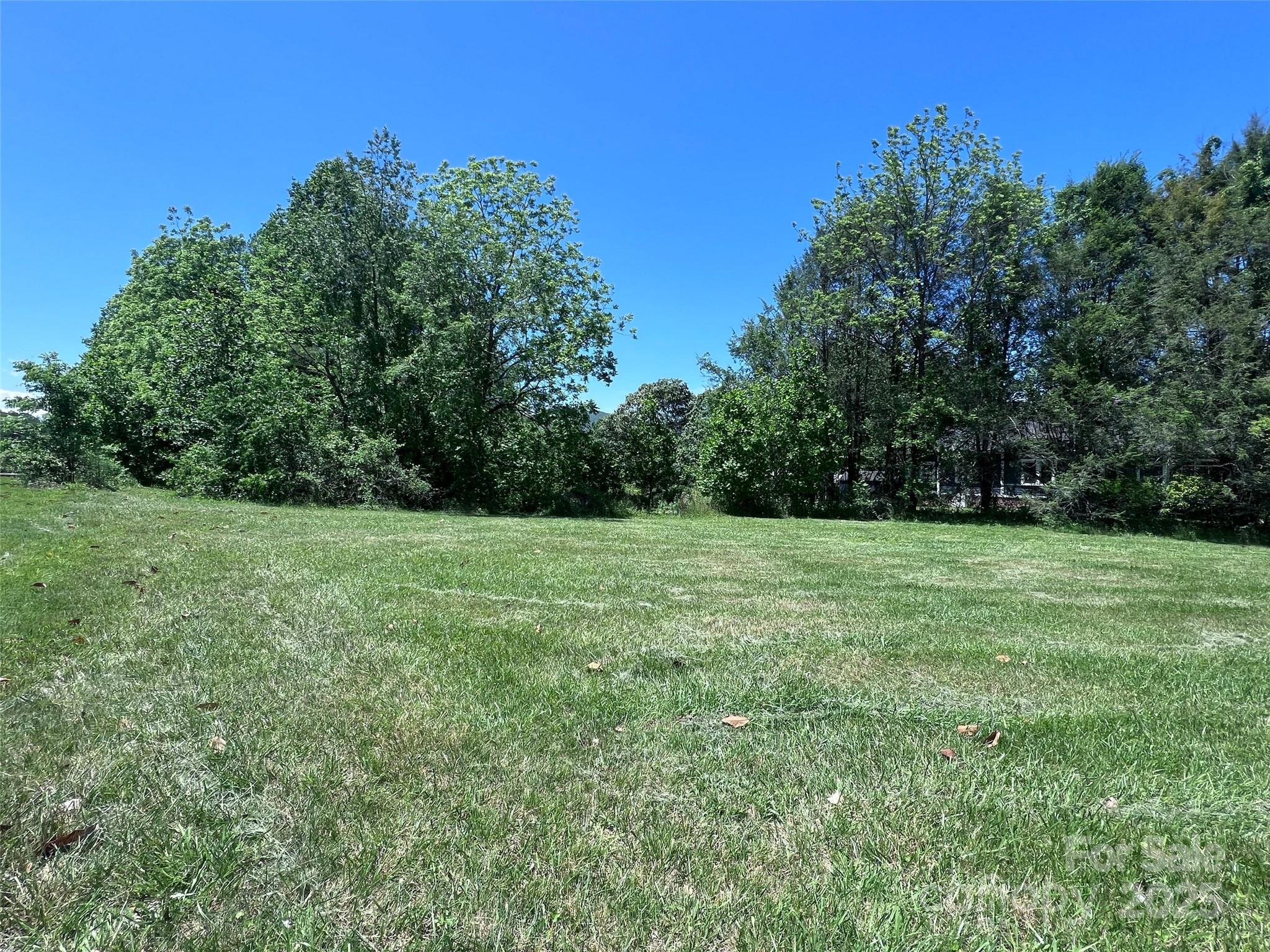 99999 Goodwin Lane Brevard NC 28712