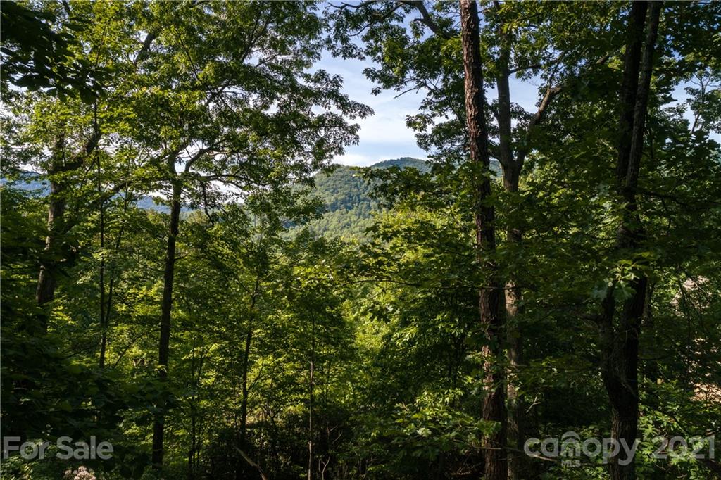 1709 Quiet Hills Lane Arden NC 28704