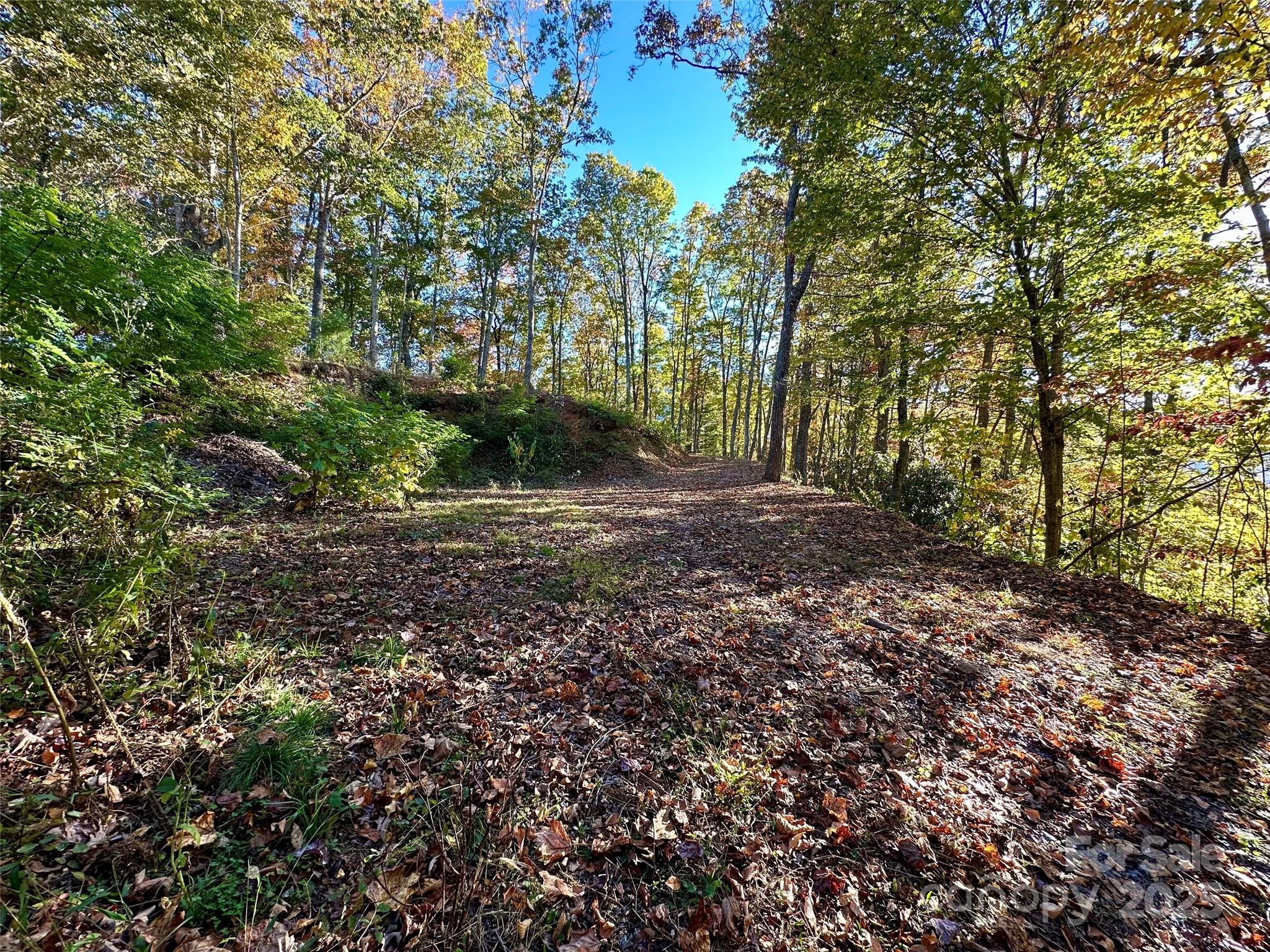 534 Cicada Drive Maggie Valley NC 28751