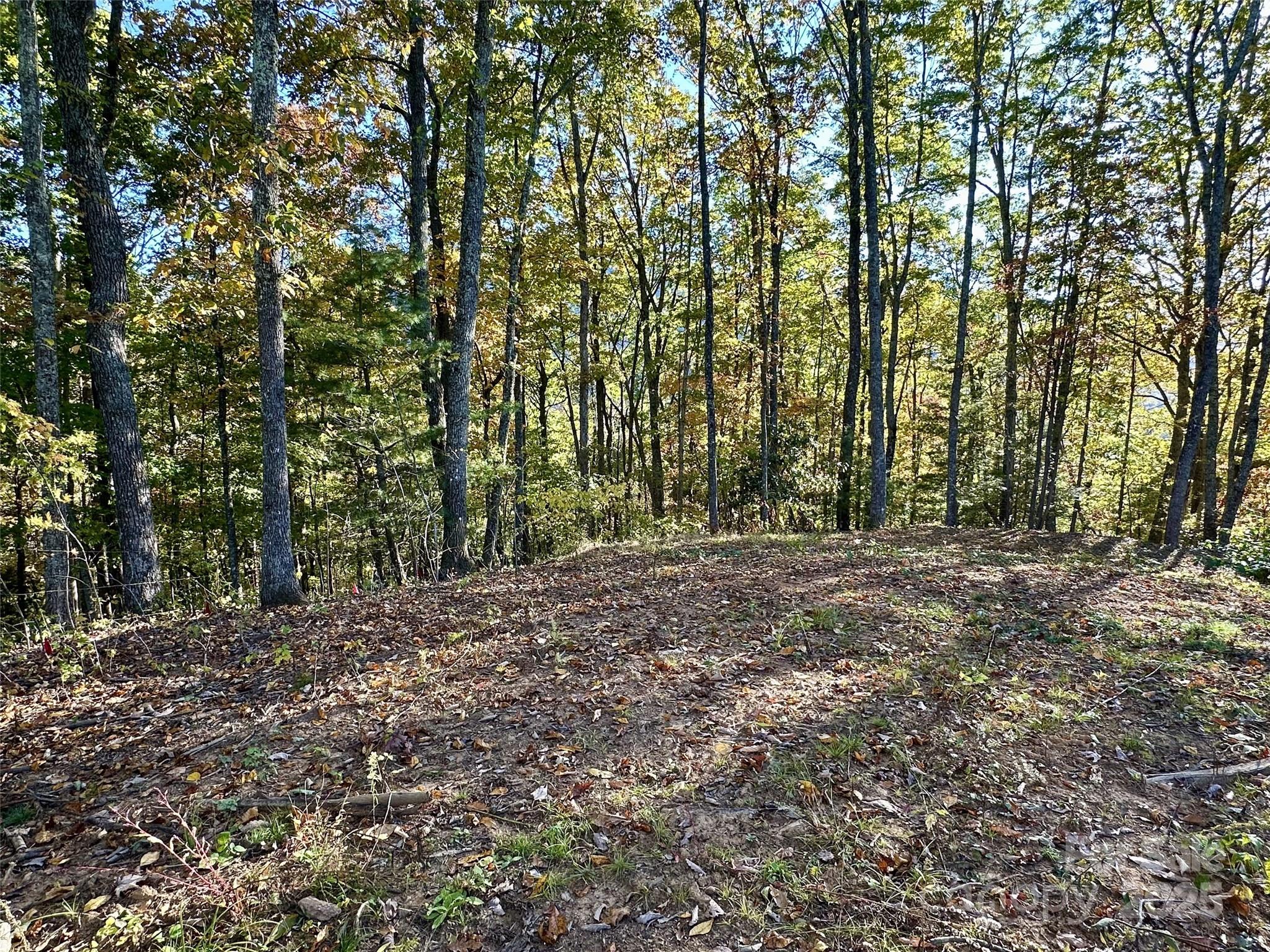 534 Cicada Drive Maggie Valley NC 28751
