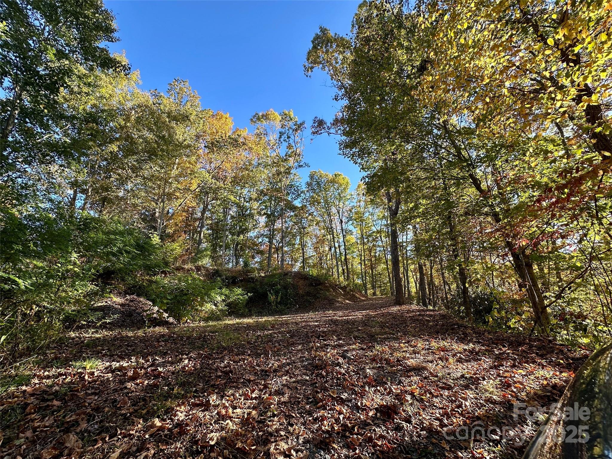 534 Cicada Drive Maggie Valley NC 28751